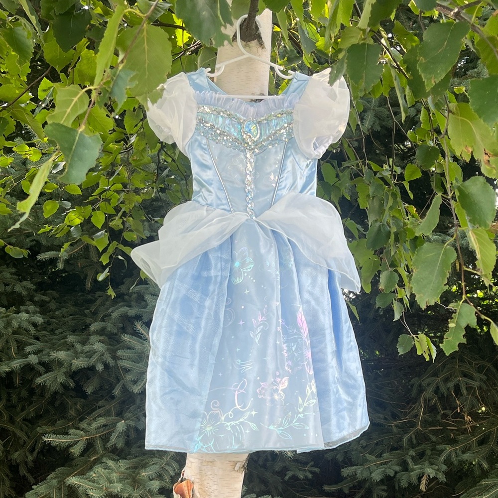 Disney Cinderella Deluxe Costume